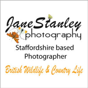 Jane Stanley Photography