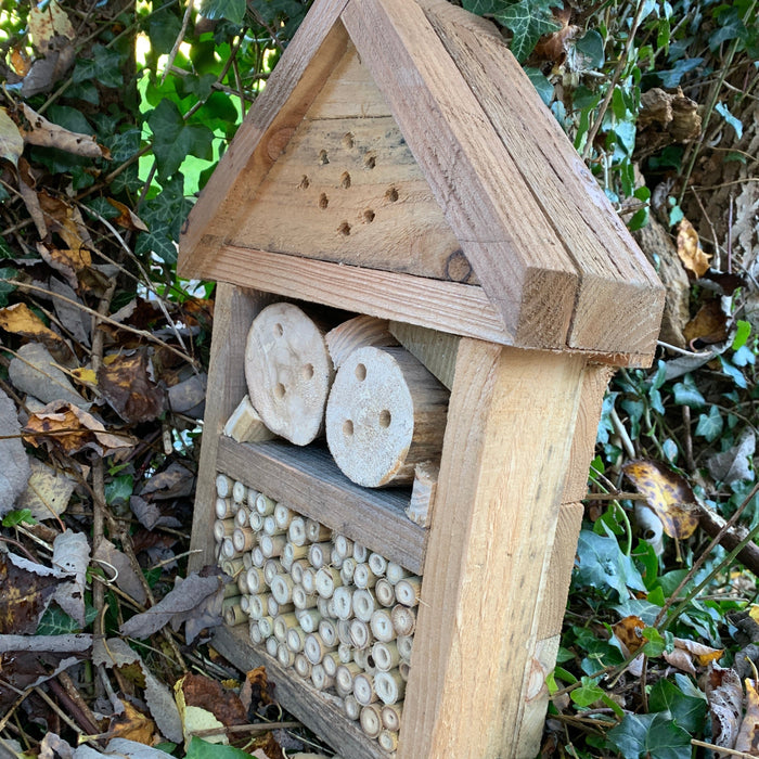 Bee and Bee Solitary Bee Conservation bug Hotel