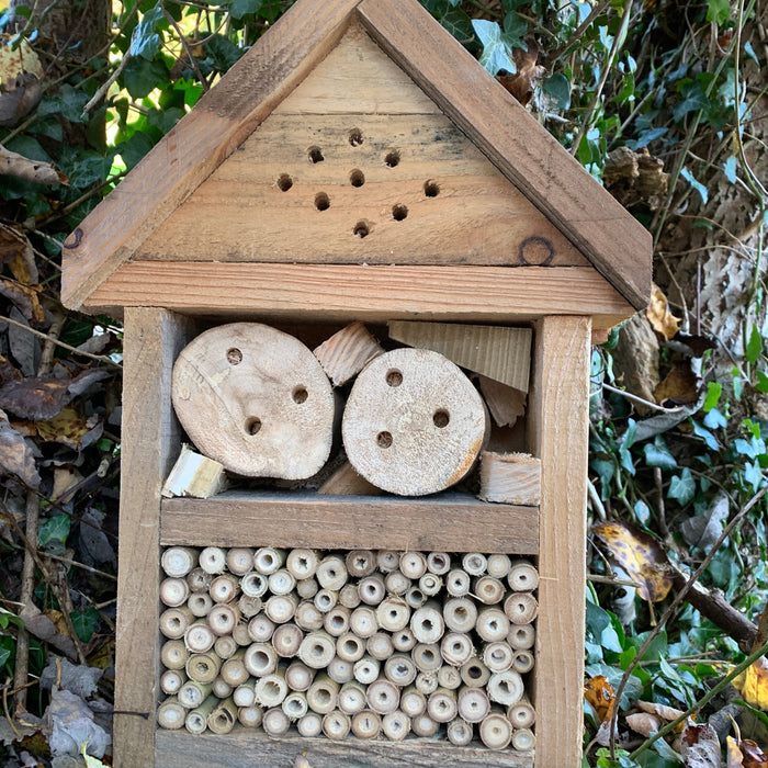 Bee and Bee Solitary Bee Conservation bug Hotel