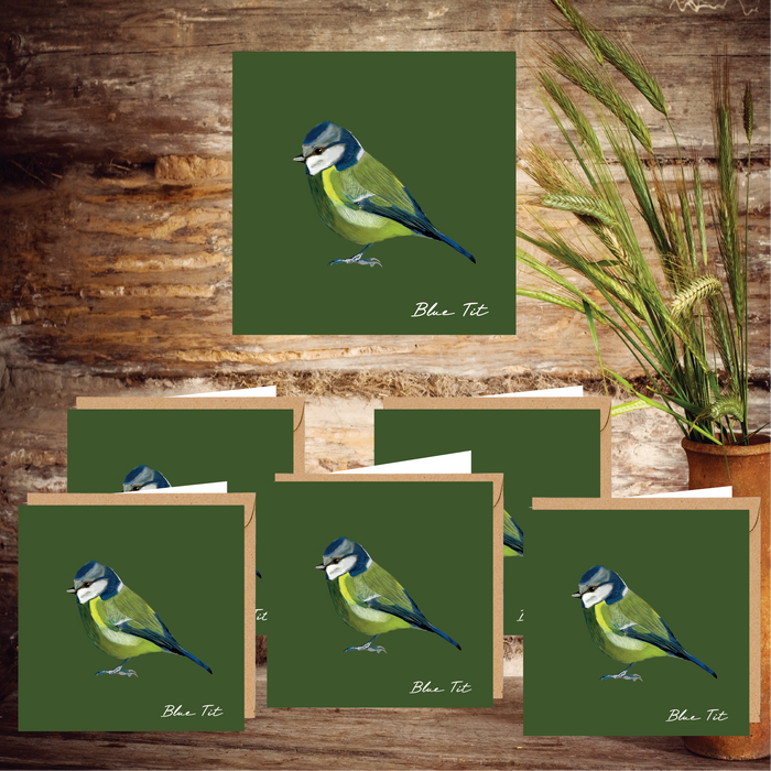 Blue Tit Set of 6 Notecards