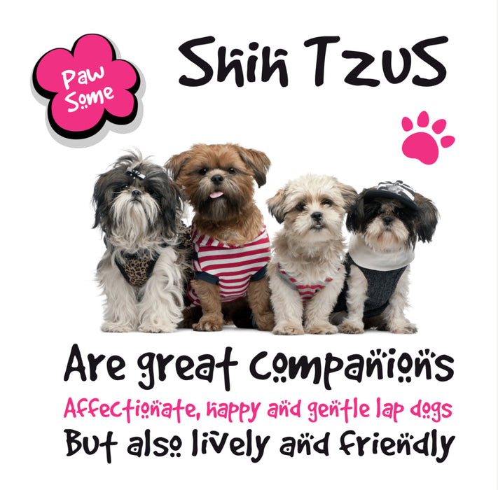 Shih Tzus Metal Wall Sign