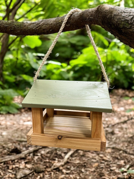 Wildlife and Birdcare Sirius Hanging Bird Feeder