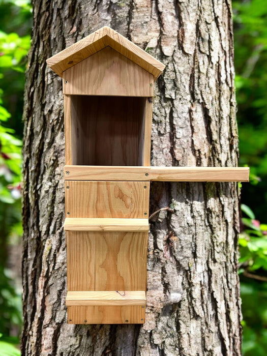 Tawny Owl Box