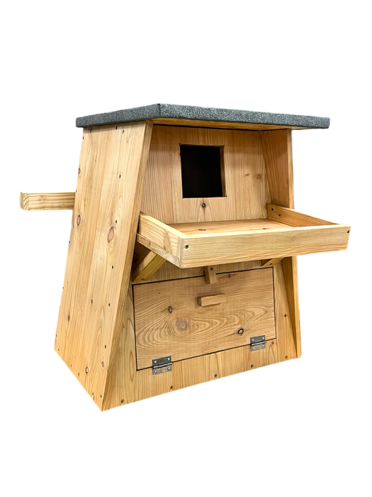 Barn Owl Box