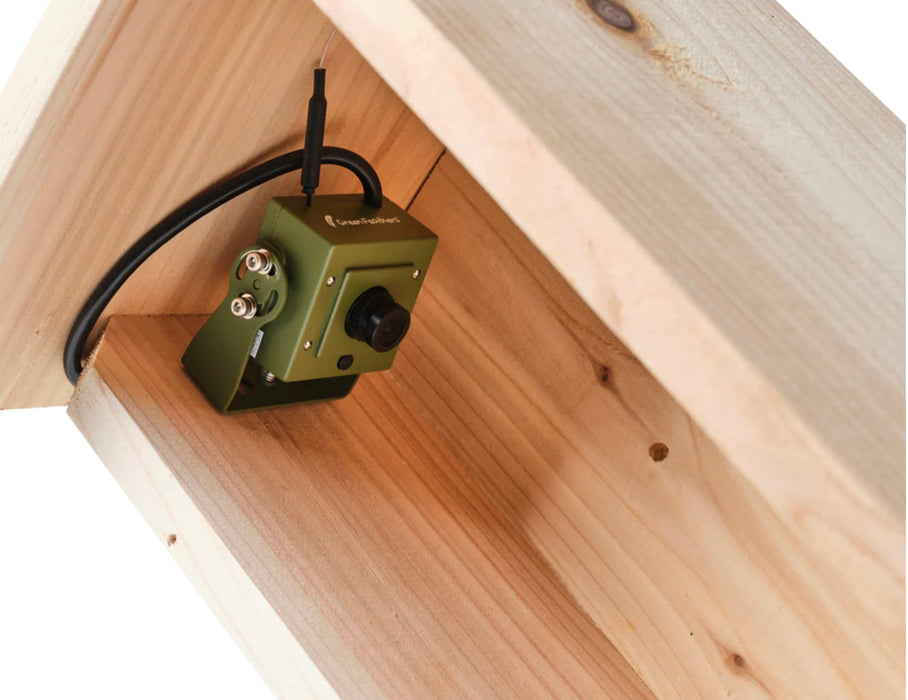 Slanted Nesting Bird Box suitable for installing a wildlife camera