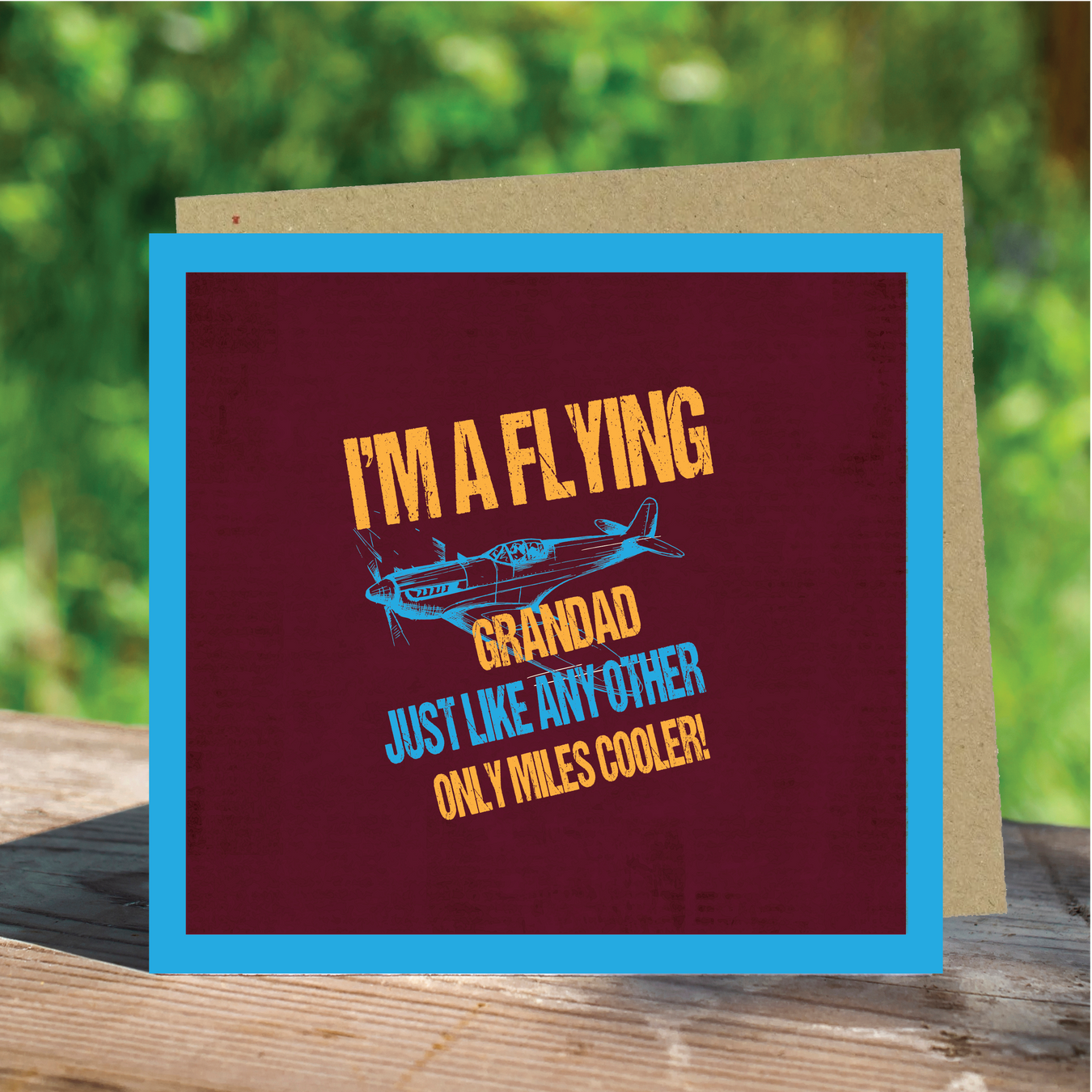 Aviation Greetings Cards