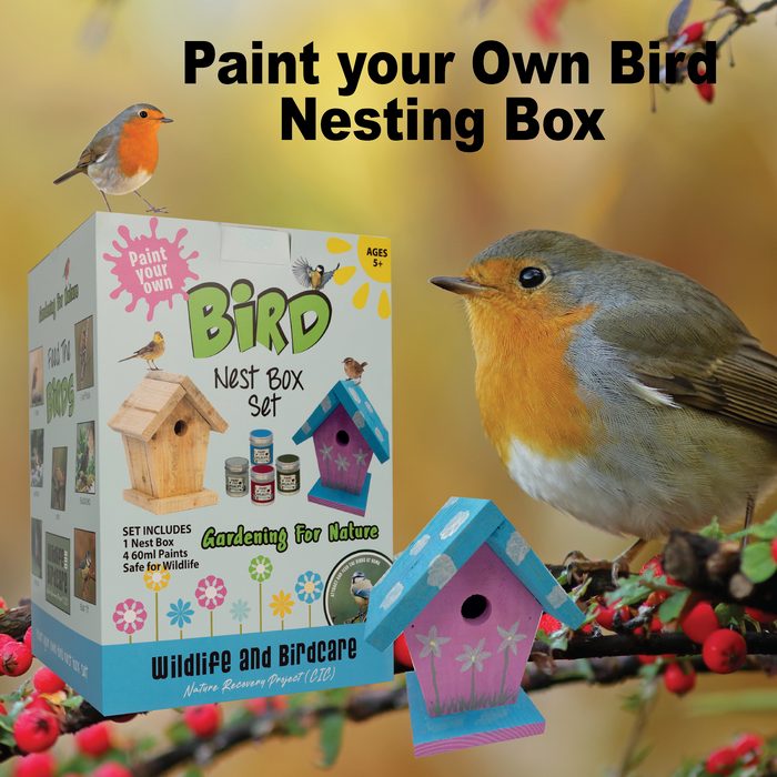 Paint your own Bird Nest Box