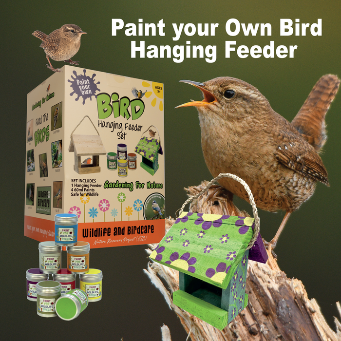 Paint your Own Wild Bird Hanging Feeder