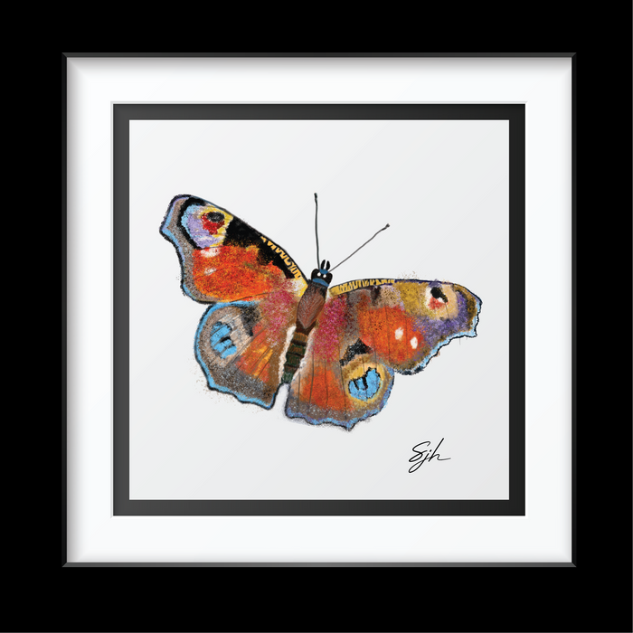 Peacock Butterfly Art Print