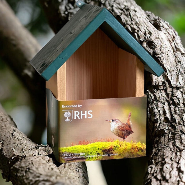 RHS Lily Nest Box