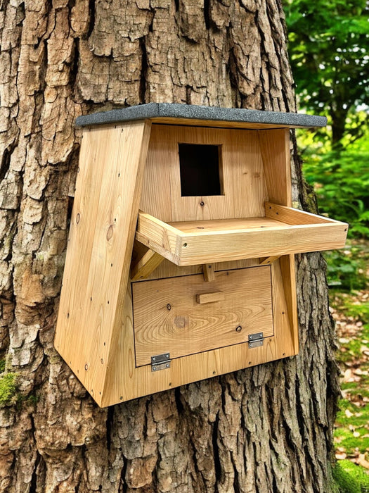 Barn Owl Box