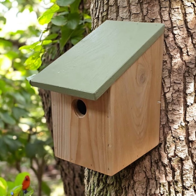 WBC Daisy Nest Box