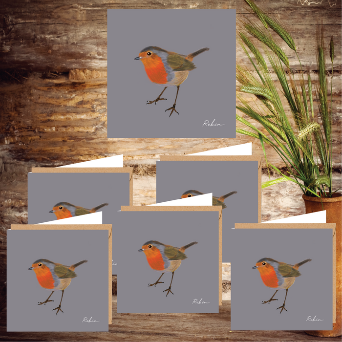 Robin Set of 6 Notecards