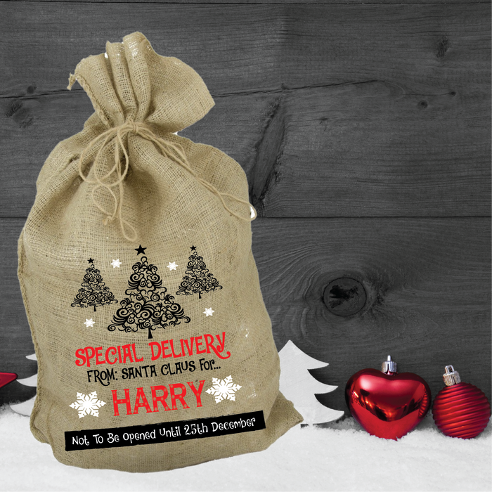 Special Delivery Christmas Tree Santa Sack