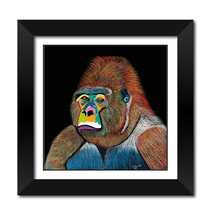 Silver The Gorilla Fine Art Framed Print