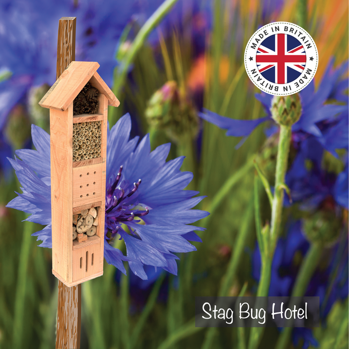 Stag Bug Hotel