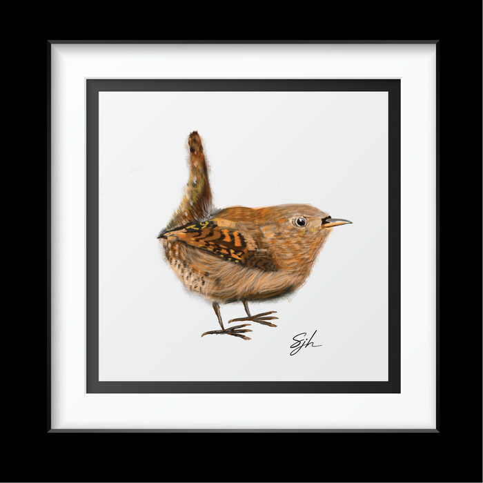 Wren Art Print