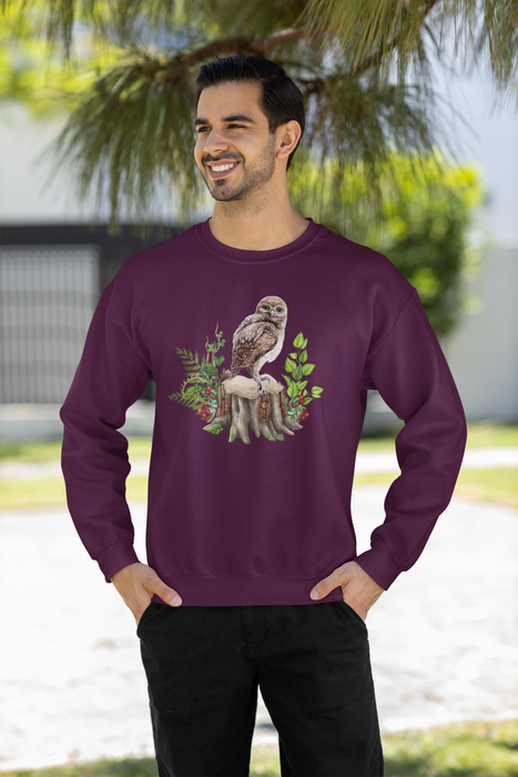 Organic Winter Owl Sweatshirt