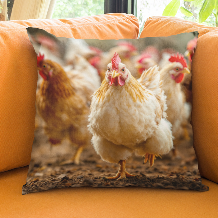 Happy Hens Cushion