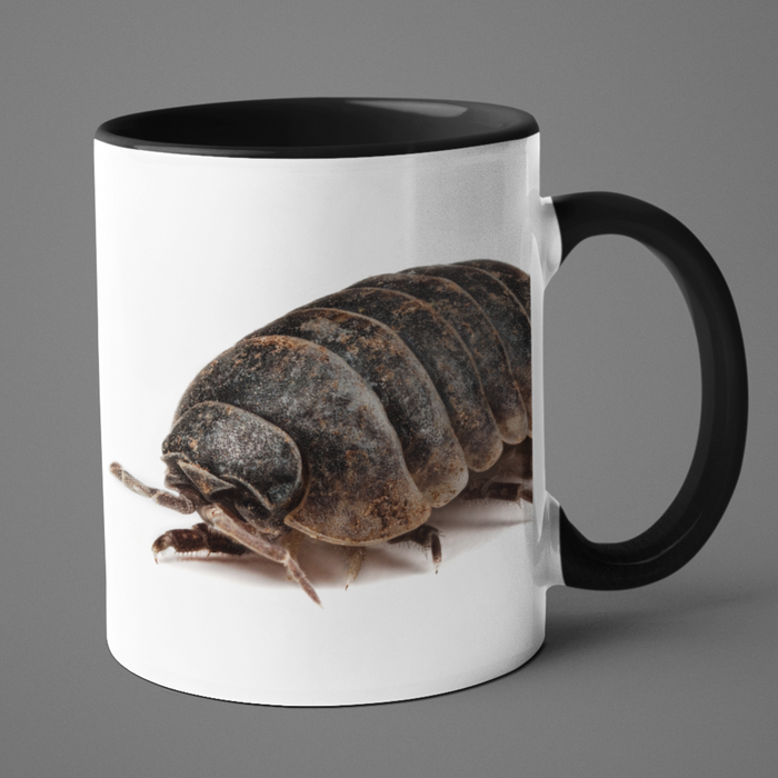 Woodlouse mug