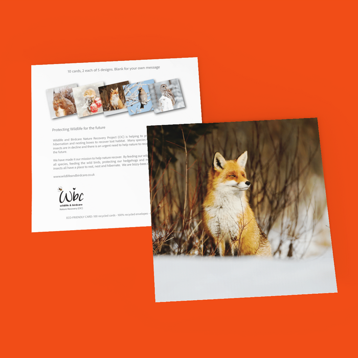 Christmas Wildlife Pack of 10 Cards