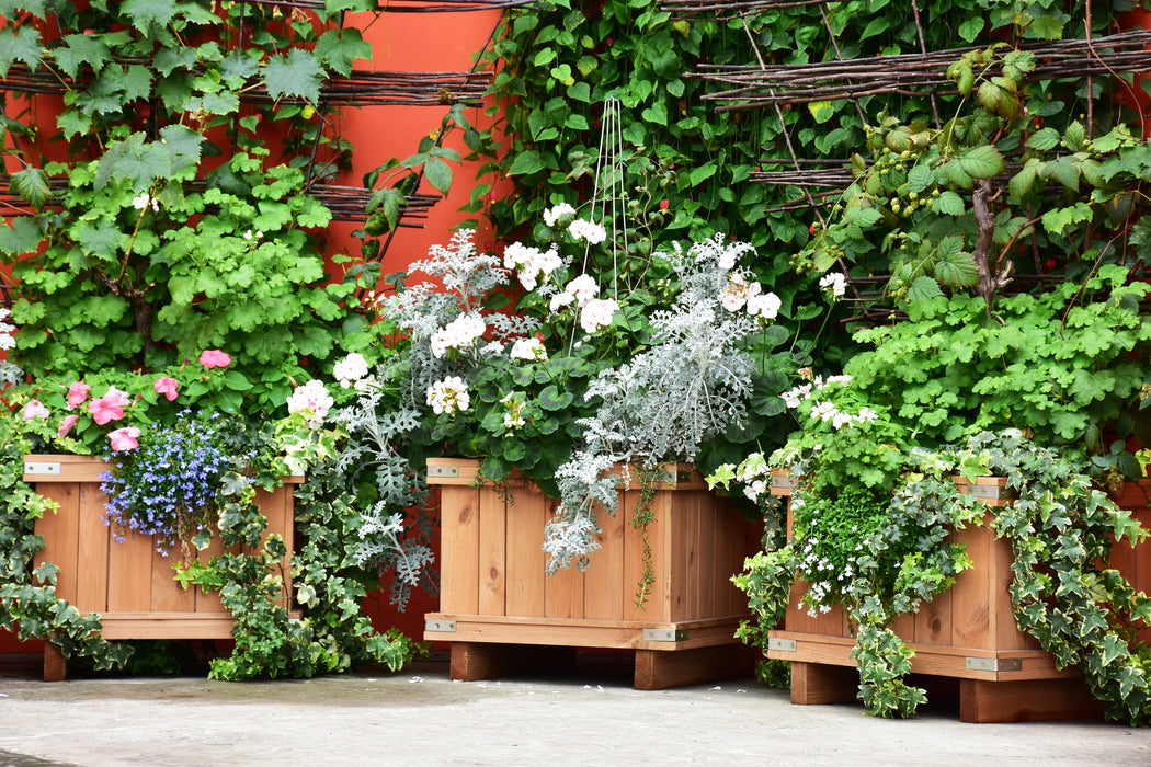 Slatted Square Planters