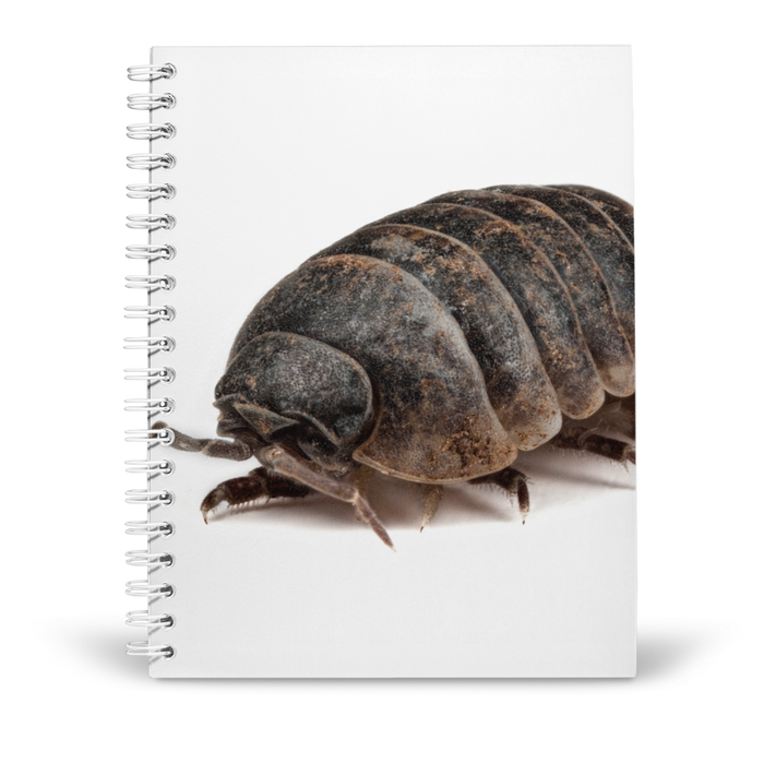 Woodlouse Notebook A5