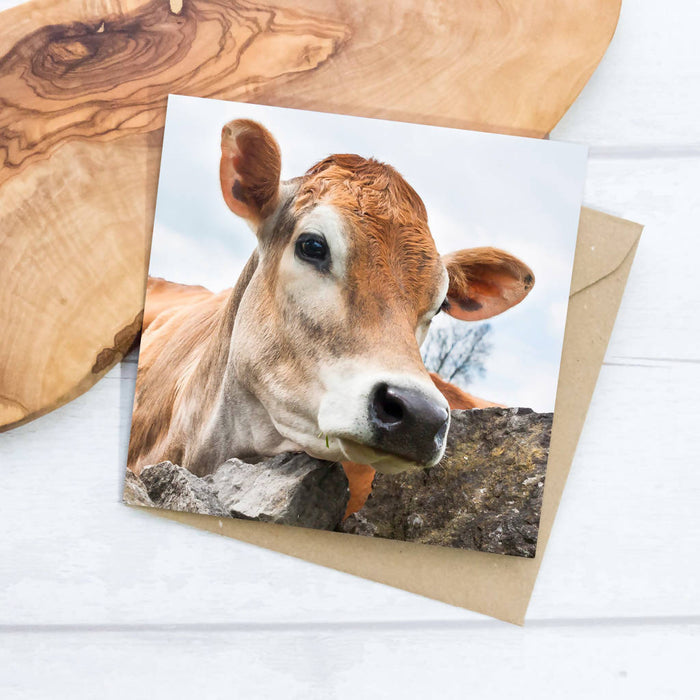 Jersey Cow Greeting Card