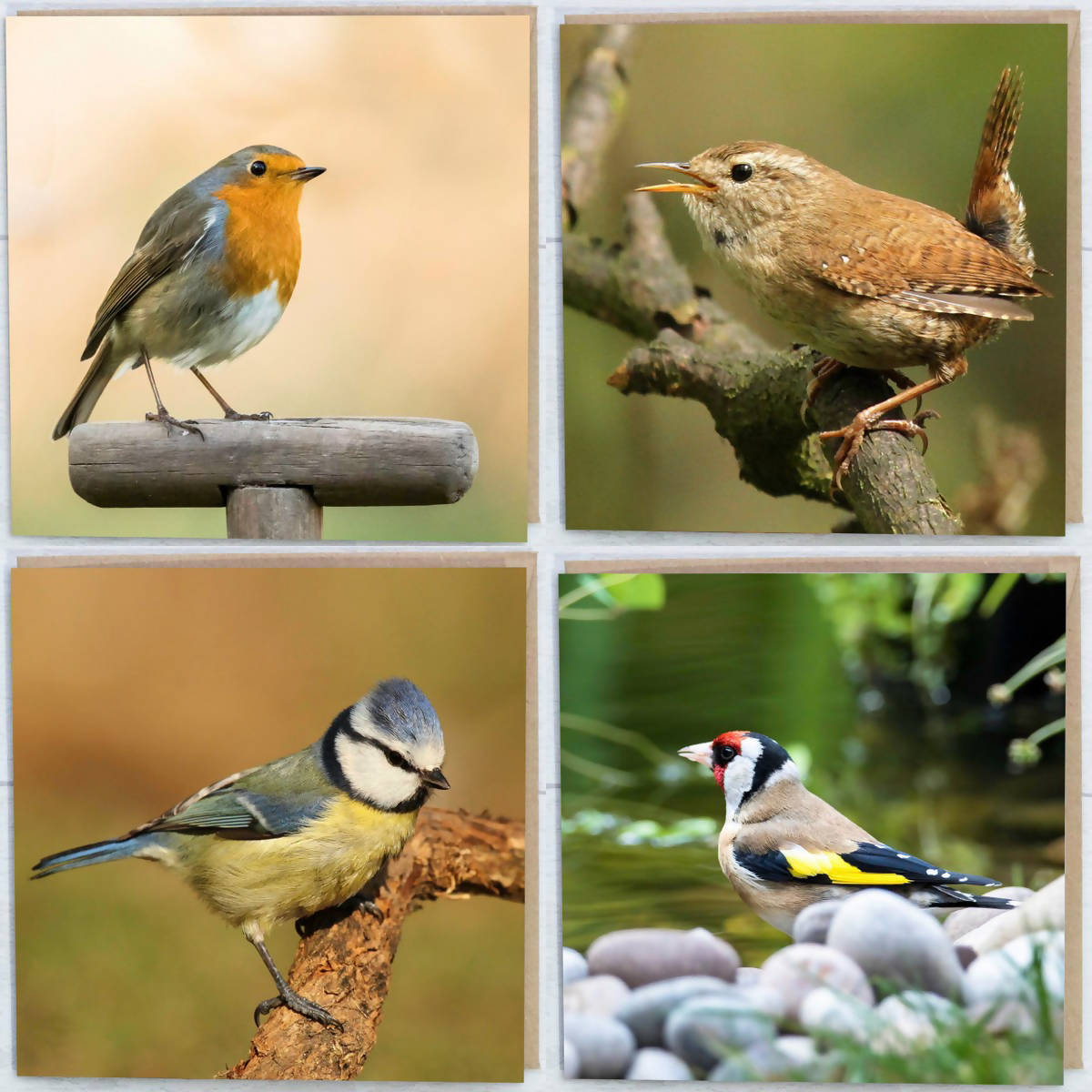 Birds Greetings Cards