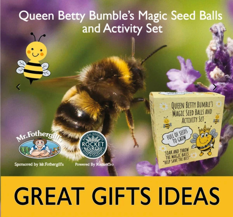 Betty Bumble's Seed Ball & Activity Set