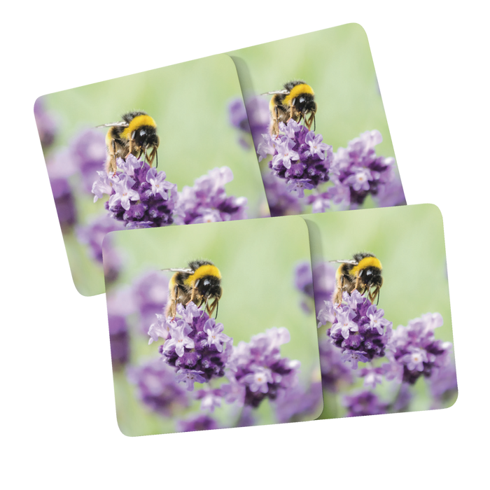 Jane Stanley's Bee Loving Lavender Coasters