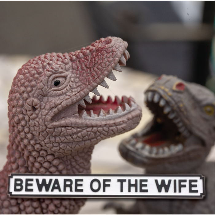 Beware of the Wife Road Sign