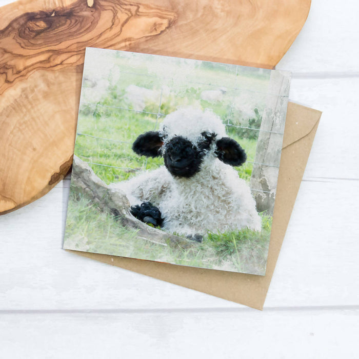 Valais Blacknose Lamb Greeting Card
