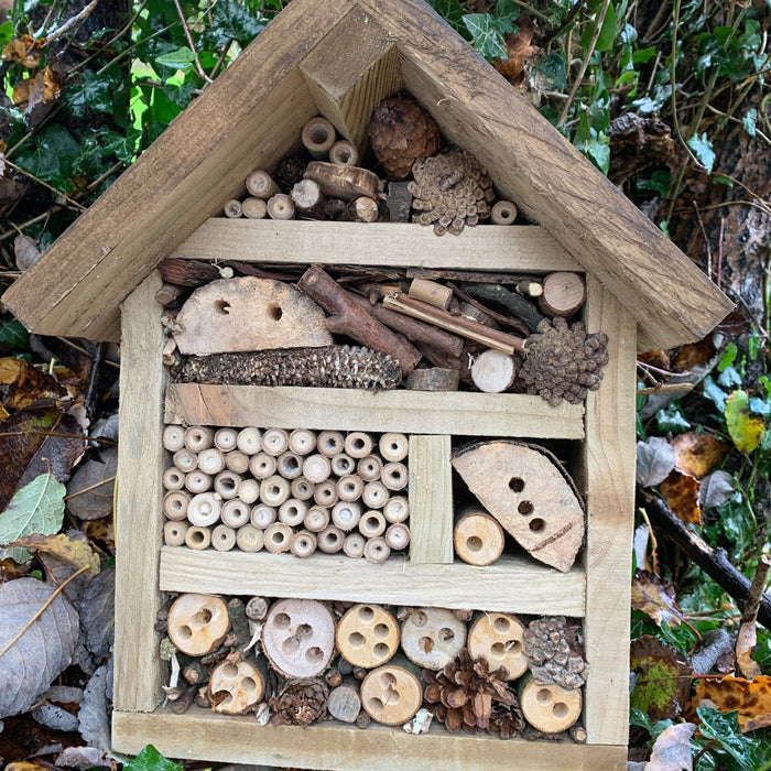 Insect House (Bugg)