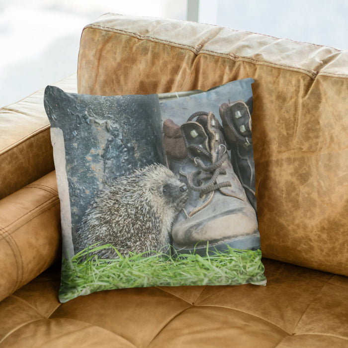 Hedgehog and Old Boots Cushion