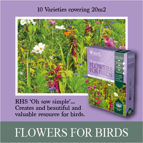 RHS flowers for birds