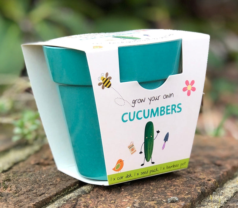 Cucumber Growing Kit with Pot