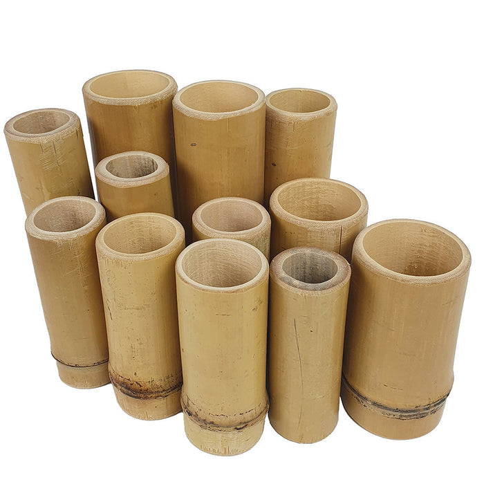 Bag of 6 Bamboo Tube & Cups (40/60mm diameter)