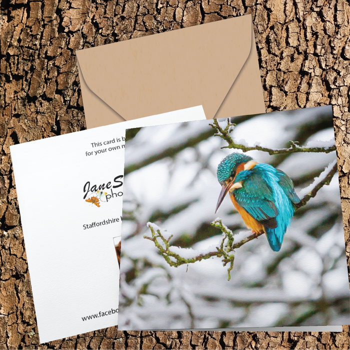 Kingfisher In the Snow Greeting Card