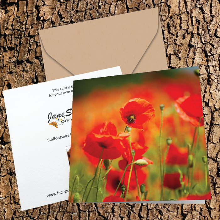 Field of beautiful red poppies Greeting Card