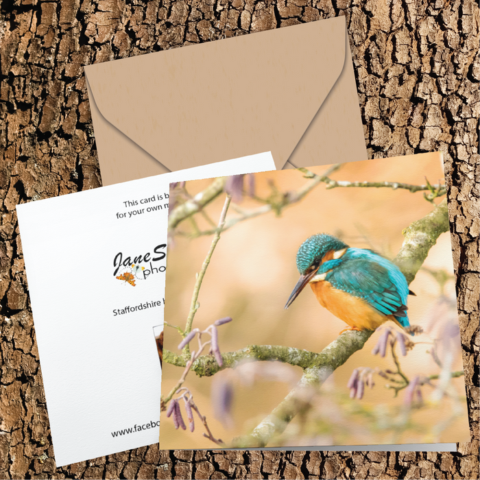 Kingfisher on a beautiful winter's day Greeting Card