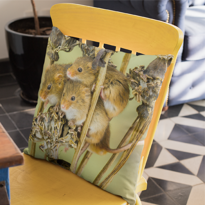 Playful harvest mice on dried poppy seed heads Cushion
