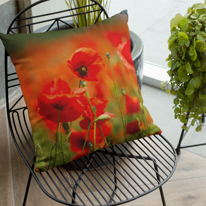 Field of beautiful red poppies Cushion