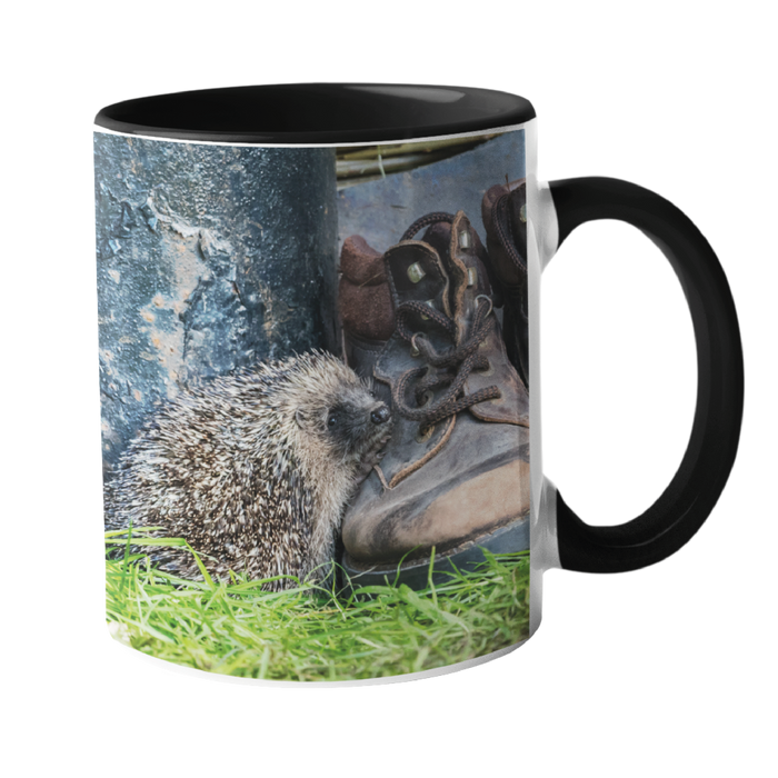 Hedgehog with Boot Mugs