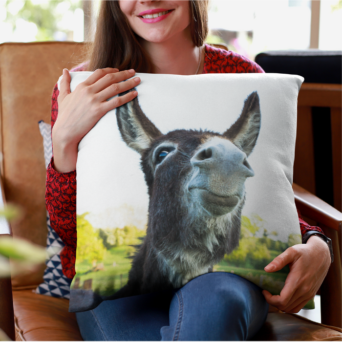 Cheeky donkey Cushion