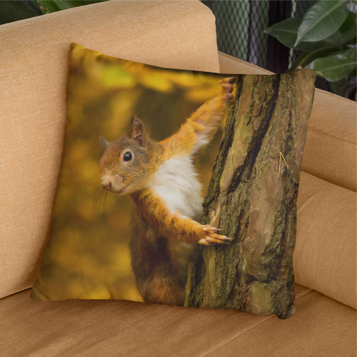 Red squirrel chasing through the woodland on an Autumn day Cushion
