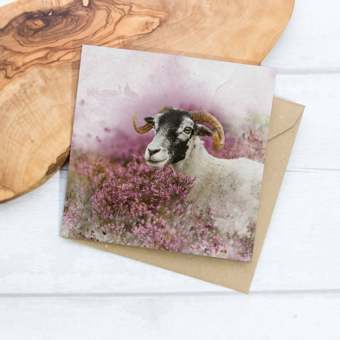 Swaledale Sheep in the Heather Greeting Card