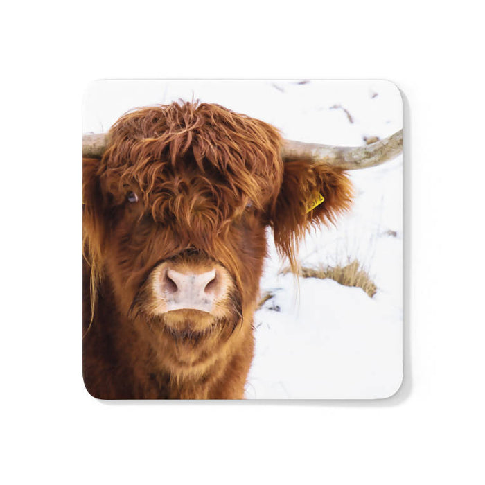Highland Cow Coaster
