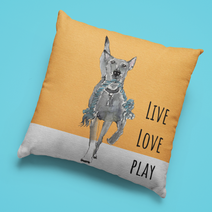 Live Love Play Cushion