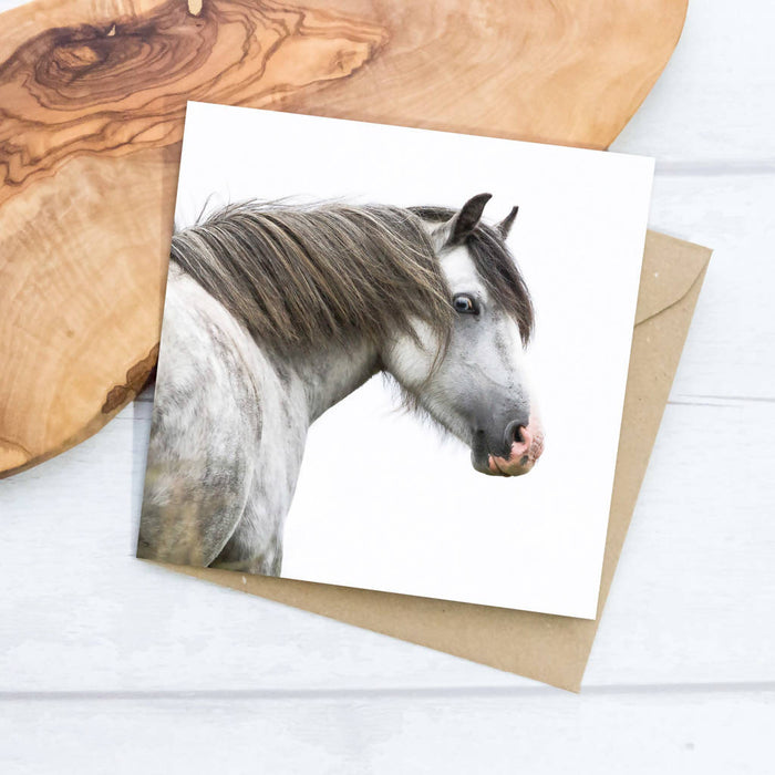 Pony Greeting Card